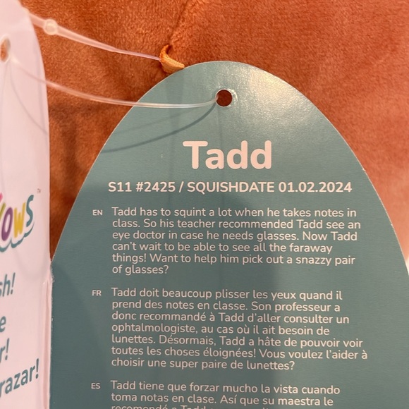 NWT 11” Tadd the Frosted Pumpkin 🎃 Donut Squishmallow - Rare Tag - Picture 7 of 7